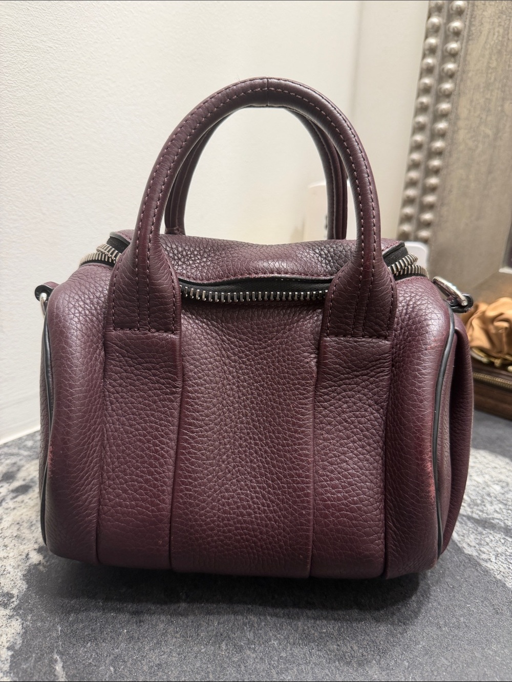 Alexander Wang Mini Rockie Bag in Oxblood